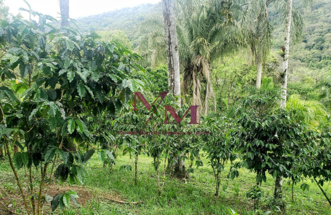 Imagem Chácara com 3 Quartos à Venda, 8.000 m² em Alexandra - Paranaguá