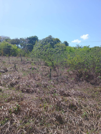 Imagem Terreno à Venda, 1.000 m² em Centro De Tibau Do Sul - Tibau Do Sul