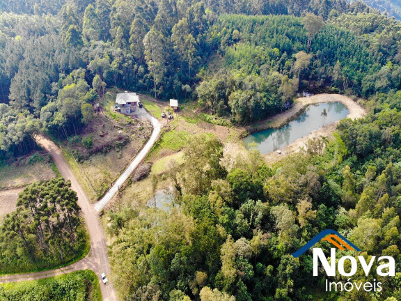 Imagem Imóvel à Venda, 32.549 m² em Linha Olinda - Nova Petrópolis