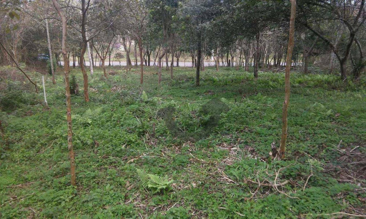 Imagem Terreno à Venda, 6.021 m² em Germânia - Santa Cruz Do Sul