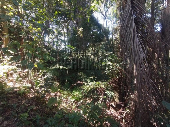 Imagem Terreno à Venda, 1.124 m² em Barreiro - Mairiporã Imagem Terreno à Venda, 1.124 m² em Barreiro - Mairiporã