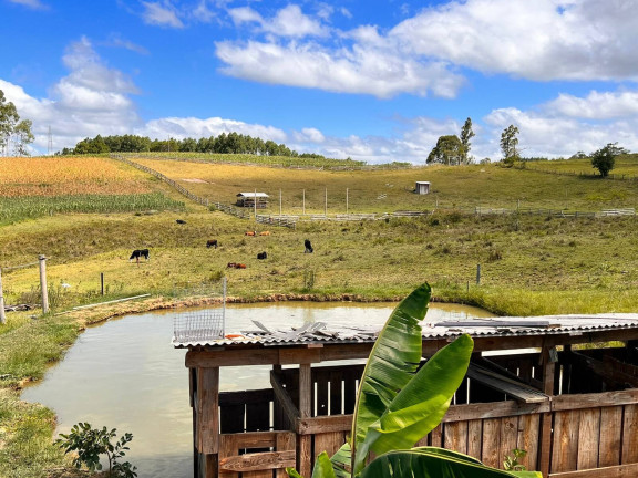 Imagem Chácara com 2 Quartos à Venda, 6 m² em Morungava - Gravataí