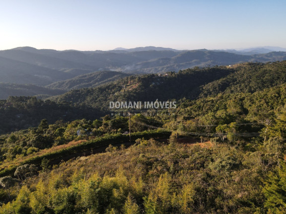 Imagem Terreno à Venda, 1.010 m² em Região Do Imbiri - Campos Do Jordão Imagem Terreno à Venda, 1.010 m² em Região Do Imbiri - Campos Do Jordão