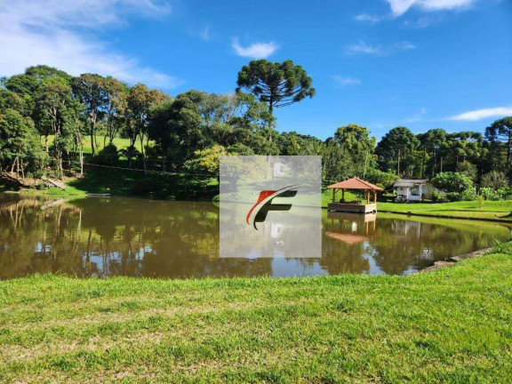 Imagem Chácara com 3 Quartos à Venda, 305.000 m² em Zona Rural - Tijucas Do Sul