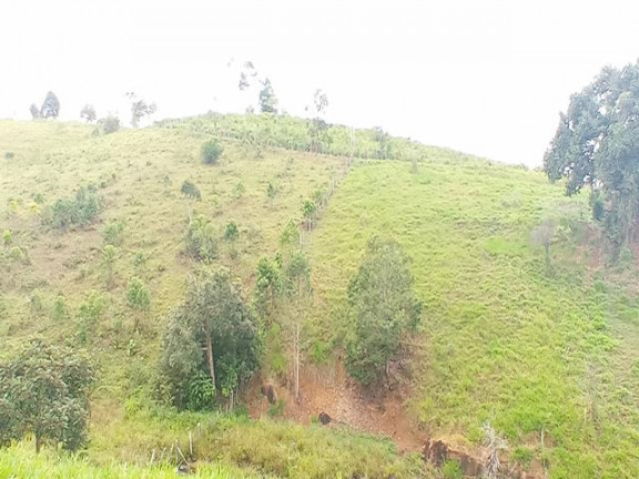 Imagem Fazenda à Venda, 10.000 m² em Taboquinhas - Itacaré Imagem Fazenda à Venda, 10.000 m² em Taboquinhas - Itacaré