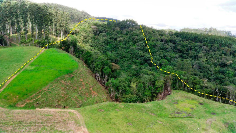 Imagem Imóvel com 5 Quartos à Venda, 140.000 m² em Zona Rural - Presidente Nereu