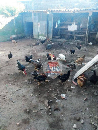 Imagem Sobrado com 1 Quarto à Venda, 80 m² em Jardim Somar - Peruíbe Imagem Sobrado com 1 Quarto à Venda, 80 m² em Jardim Somar - Peruíbe