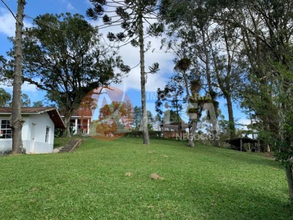 Imagem Casa com 4 Quartos à Venda, 40.000 m² em Loteamento Vale Florido - Embu Guaçu Imagem Casa com 4 Quartos à Venda, 40.000 m² em Loteamento Vale Florido - Embu Guaçu