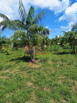 Imagem Imóvel com 2 Quartos à Venda, 200.000 m² em Centro - Acará
