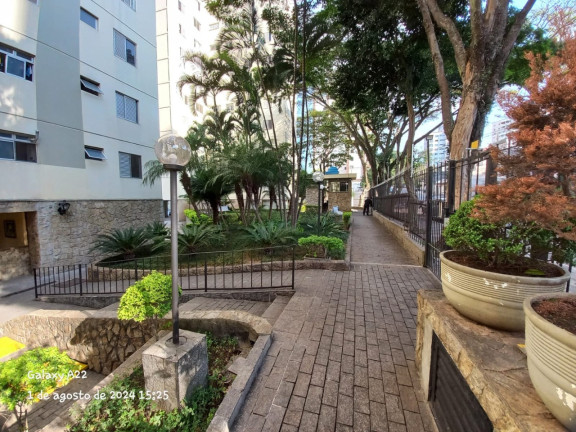 Imagem Imóvel com 2 Quartos à Venda, 67 m² em Vila Monumento - São Paulo Imagem Imóvel com 2 Quartos à Venda, 67 m² em Vila Monumento - São Paulo