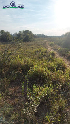Terreno à Venda,  em Viamão