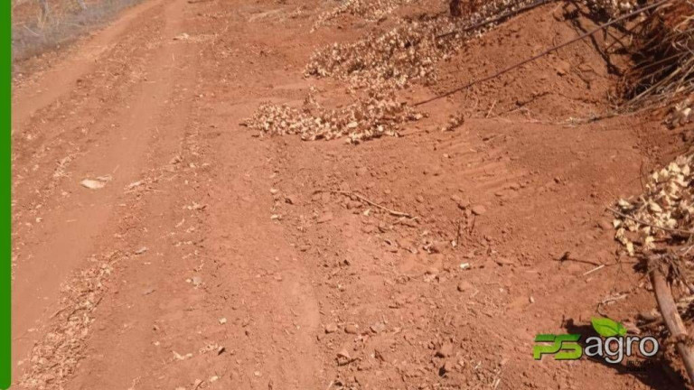 Imagem Fazenda à Venda, 347.500 m² em Jardim Santa Bárbara - Palmas Imagem Fazenda à Venda, 347.500 m² em Jardim Santa Bárbara - Palmas