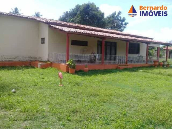 Imagem Fazenda à Venda, 500 m² em Guanaces - Cascavel Imagem Fazenda à Venda, 500 m² em Guanaces - Cascavel