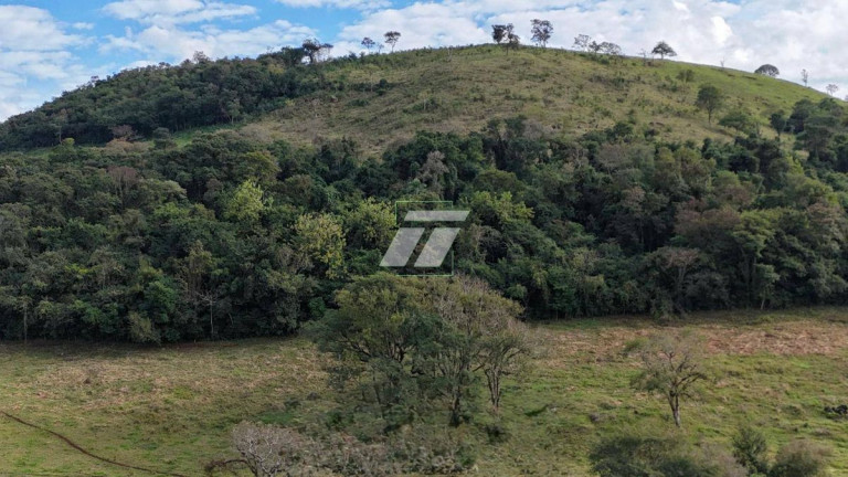 Imagem Fazenda à Venda,  em Cancelli - Cascavel