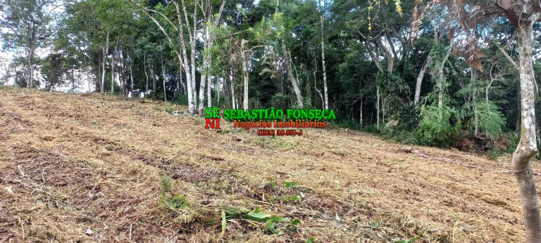 Imagem Chácara à Venda, 30.000 m² em Centro - Monteiro Lobato Imagem Chácara à Venda, 30.000 m² em Centro - Monteiro Lobato