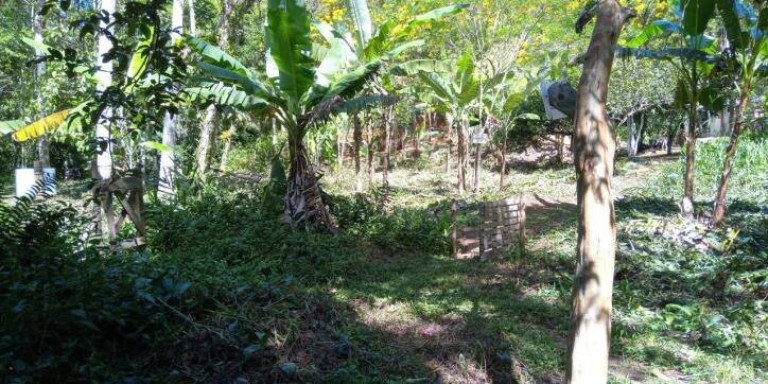 Imagem Terreno à Venda, 3.500 m² em Cambuca - Ubatuba Imagem Terreno à Venda, 3.500 m² em Cambuca - Ubatuba