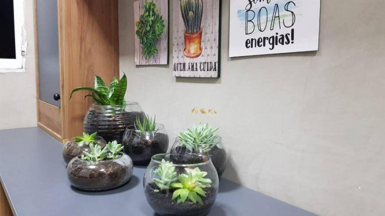 Imagem Apartamento com 2 Quartos à Venda, 38 m² em Vila Guilhermina - São Paulo