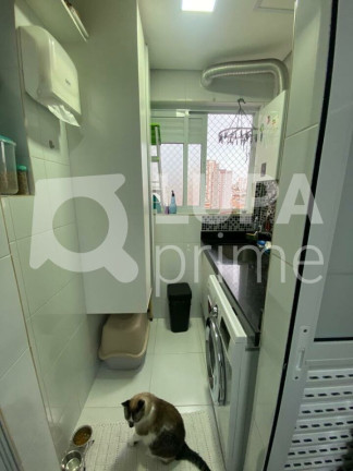 Imagem Apartamento com 3 Quartos à Venda, 77 m² em Vila Guilherme - São Paulo Imagem Apartamento com 3 Quartos à Venda, 77 m² em Vila Guilherme - São Paulo