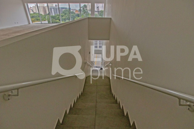 Imagem Imóvel Comercial para Alugar, 300 m² em Vila Matilde - São Paulo Imagem Imóvel Comercial para Alugar, 300 m² em Vila Matilde - São Paulo
