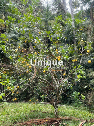 Imagem Chácara com 5 Quartos à Venda, 500 m² em Mury - Nova Friburgo