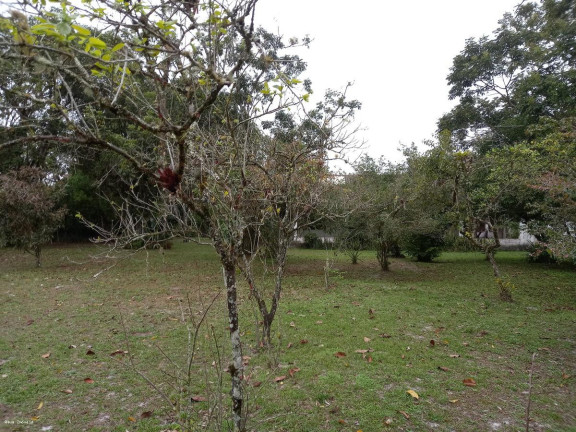 Imagem Imóvel com 3 Quartos à Venda, 5.423 m² em Jardim São Fernando - Itanhaém Imagem Imóvel com 3 Quartos à Venda, 5.423 m² em Jardim São Fernando - Itanhaém