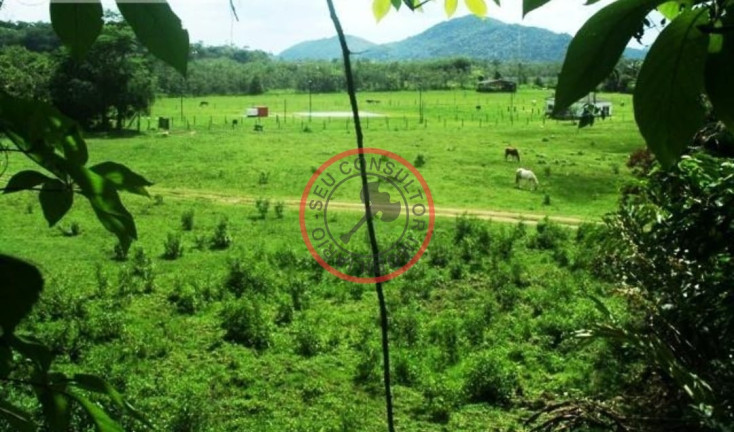 Imagem Fazenda à Venda, 55 m² em Camburi - São Sebastião Imagem Fazenda à Venda, 55 m² em Camburi - São Sebastião