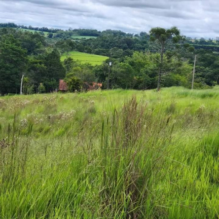 Imagem Chácara à Venda, 4 m² em Rural - Angatuba Imagem Chácara à Venda, 4 m² em Rural - Angatuba