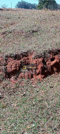 Imagem Imóvel com 3 Quartos à Venda, 532.400 m² em Itaqueri Da Serra - Itirapina
