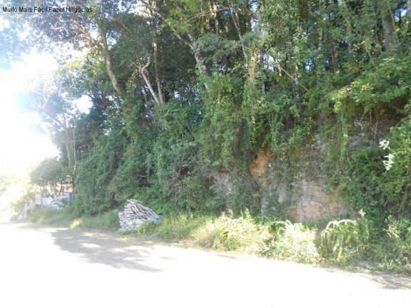 Imagem Terreno à Venda, 405 m² em Juriti - Nova Petrópolis
