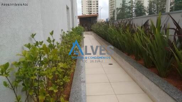 Imagem Apartamento com 3 Quartos à Venda, 60 m² em Planalto - São Bernardo Do Campo Imagem Apartamento com 3 Quartos à Venda, 60 m² em Planalto - São Bernardo Do Campo