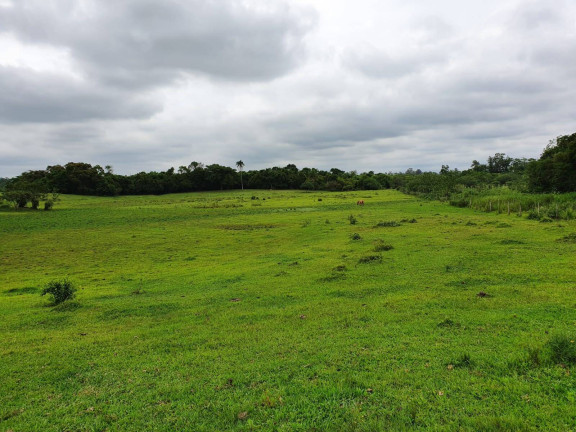 Chácara à Venda, 40.000 m² em Capão Do Padre - Caju - Nova Santa Rita
