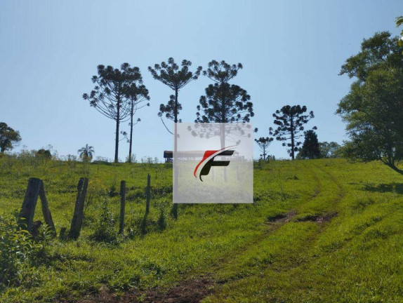 Imagem Fazenda à Venda, 1.936.000 m² em Guampará - Marquinho Imagem Fazenda à Venda, 1.936.000 m² em Guampará - Marquinho