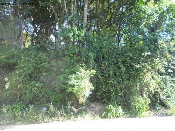Imagem Terreno à Venda, 405 m² em Juriti - Nova Petrópolis
