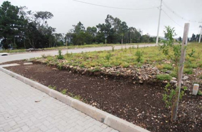 Imagem Terreno à Venda, 257 m² em Santa Marta - Canela Imagem Terreno à Venda, 257 m² em Santa Marta - Canela