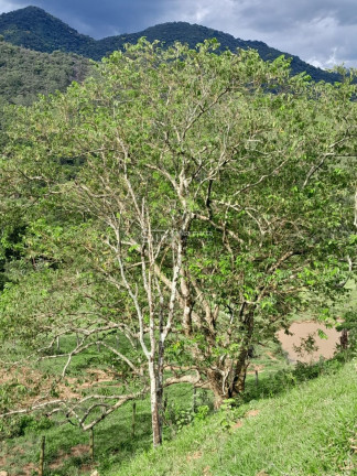 Imagem Imóvel com 3 Quartos à Venda, 150 m² em Boa Vista - Piquete