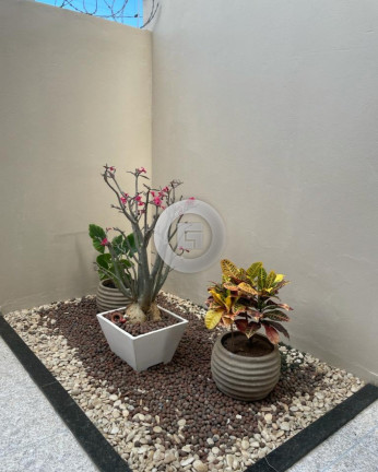 Imagem Sobrado com 4 Quartos à Venda, 126 m² em Augusta Mota - Montes Claros Imagem Sobrado com 4 Quartos à Venda, 126 m² em Augusta Mota - Montes Claros