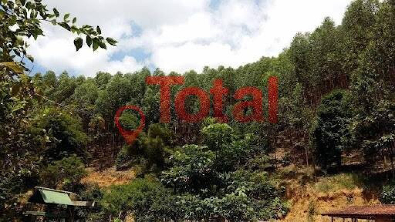 Imagem Terreno à Venda, 70.000 m² em Zona Rural - Marliéria Imagem Terreno à Venda, 70.000 m² em Zona Rural - Marliéria