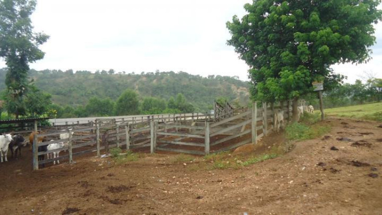 Imagem Fazenda à Venda, 60 m² em Azurita - Mateus Leme Imagem Fazenda à Venda, 60 m² em Azurita - Mateus Leme