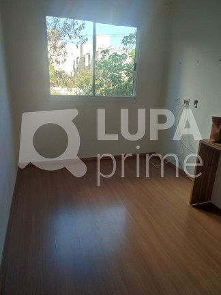 Imagem Apartamento com 2 Quartos à Venda, 43 m² em Jaraguá - São Paulo Imagem Apartamento com 2 Quartos à Venda, 43 m² em Jaraguá - São Paulo