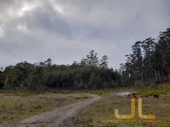 Imagem Terreno à Venda, 100 m² em Alto Cedros - Rio Dos Cedros