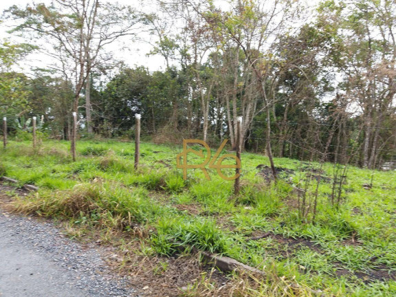 Imagem Terreno à Venda, 3.000 m² em Embu Das Artes - Embu Das Artes Imagem Terreno à Venda, 3.000 m² em Embu Das Artes - Embu Das Artes