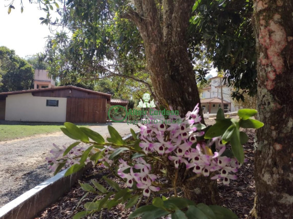 Imagem Chácara com 4 Quartos à Venda, 6.160 m² em Centro - Paraibuna