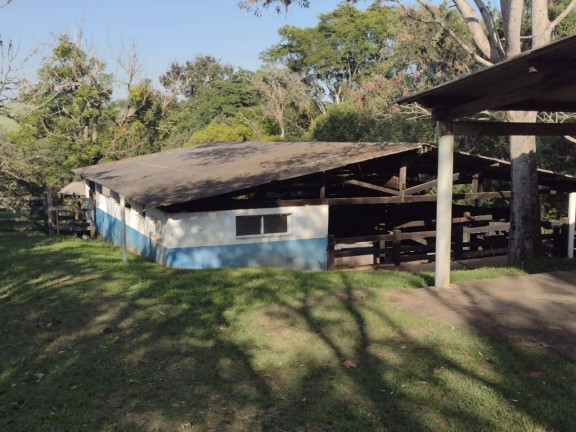 Imagem Chácara com 4 Quartos à Venda, 72.600 m² em Bom Retiro - Porto Feliz
