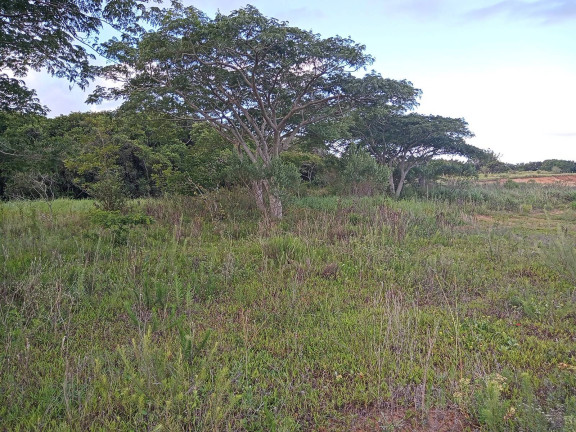 Imagem Chácara à Venda, 20.000 m² em águas Claras - Viamão Imagem Chácara à Venda, 20.000 m² em águas Claras - Viamão