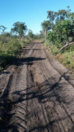 Imagem Fazenda à Venda, 29.935.400 m² em Centro - Ponte Alta Do Bom Jesus Imagem Fazenda à Venda, 29.935.400 m² em Centro - Ponte Alta Do Bom Jesus