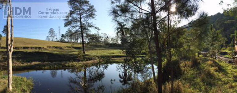 Imagem Chácara à Venda, 2.650.000 m² em Centro - São Lourenço Da Serra Imagem Chácara à Venda, 2.650.000 m² em Centro - São Lourenço Da Serra
