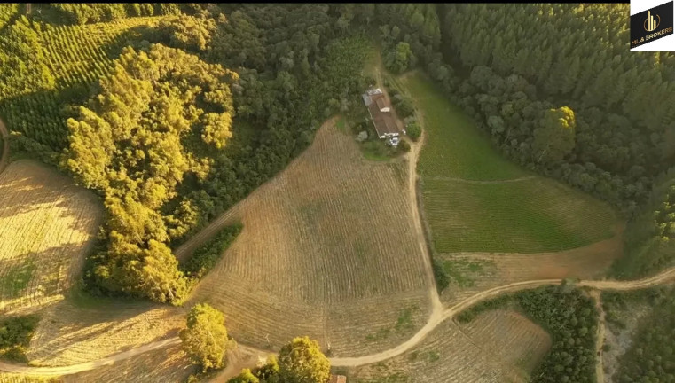 Imóvel com 3 Quartos à Venda, 42.350 m² em área Rural (areia Branca Dos Assis) - Mandirituba