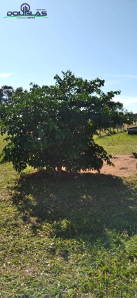 Imagem Chácara à Venda, 3.050 m² em Viamão Imagem Chácara à Venda, 3.050 m² em Viamão