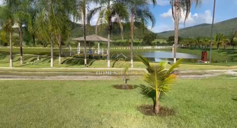 Imagem Imóvel com 4 Quartos à Venda, 3.146 m² em Zona Rural - Minaçu Imagem Imóvel com 4 Quartos à Venda, 3.146 m² em Zona Rural - Minaçu