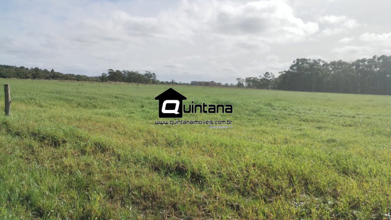 Imagem Imóvel com 2 Quartos à Venda, 470.000 m² em Quinta - Rio Grande